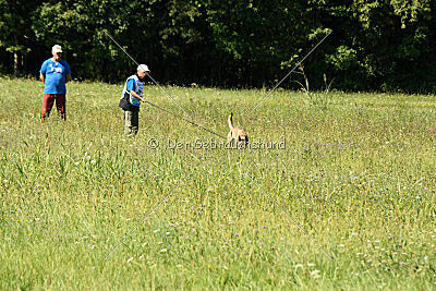 Kelly von Schatzchen JP