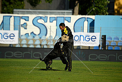 Kentucky del Camino Duro