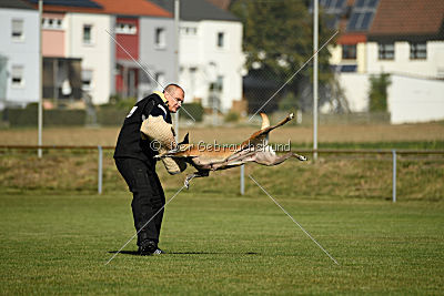 Keshia vom Brunsbeker Land