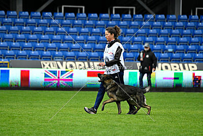 Kieztamarx Daxamite at Brueckwasser