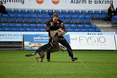 Kill Bill de Parayas