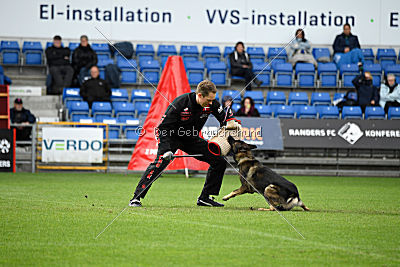 Kill Bill de Parayas