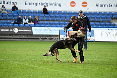 Kill Bill de Parayas