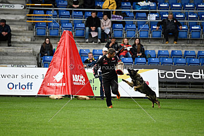 Kill Bill de Parayas