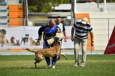 Kim vom Haus der Drachen