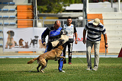 Kim vom Haus der Drachen