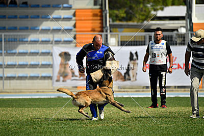 Kim vom Haus der Drachen