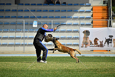 Kim vom Haus der Drachen