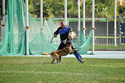Kim vom Haus der Drachen