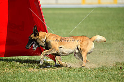 Kim vom Haus der Drachen