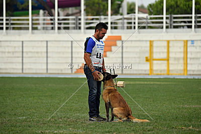 Kim vom Haus der Drachen