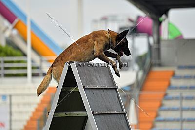 Kim vom Haus der Drachen