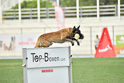 Kim vom Haus der Drachen