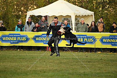 Kimi vom Haus Kunterbunt