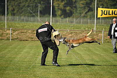 King Extra Temperament