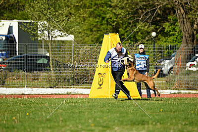 Kingsley du Baudet Rouge