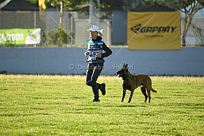 Kingsley du Baudet Rouge