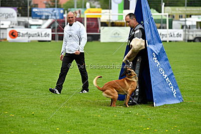 Kiolo vom Falkenstock