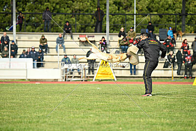 Kleo vom Causa Nostre Letitia