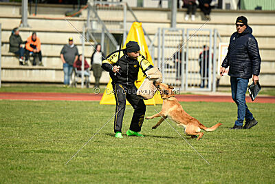 Kleo vom Causa Nostre Letitia