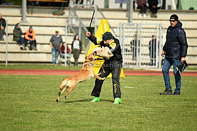 Kleo vom Causa Nostre Letitia