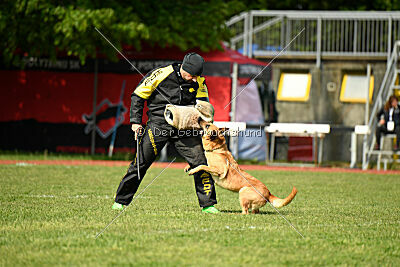 Kleo vom Causa Nostre Letitia