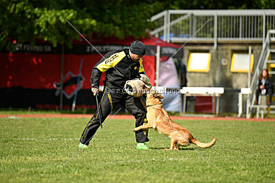 Kleo vom Causa Nostre Letitia