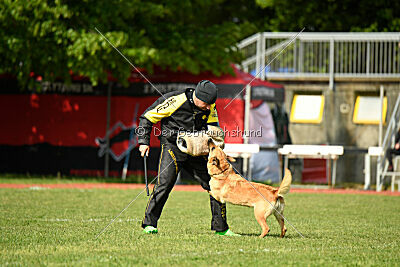 Kleo vom Causa Nostre Letitia