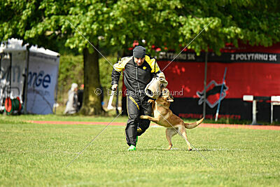 Kleo vom Causa Nostre Letitia