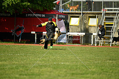 Kleo vom Causa Nostre Letitia