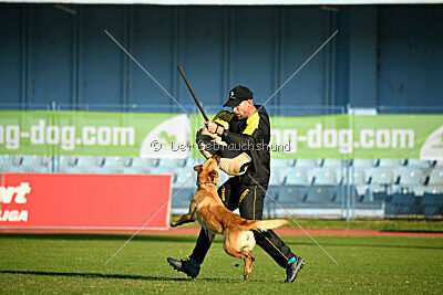 Kleo vom Causa Nostre Letitia