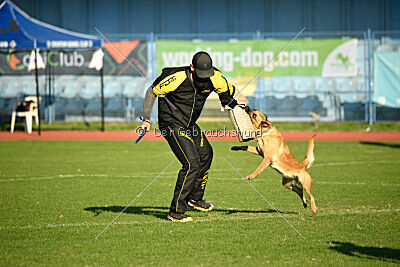 Kleo vom Causa Nostre Letitia