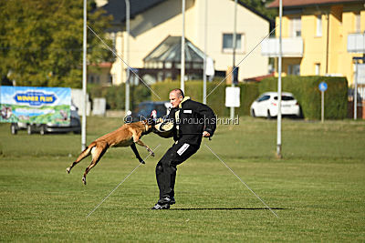 Kleo vom Herrenberger Schloss