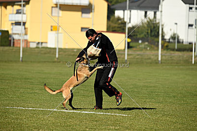Kleo vom Herrenberger Schloss