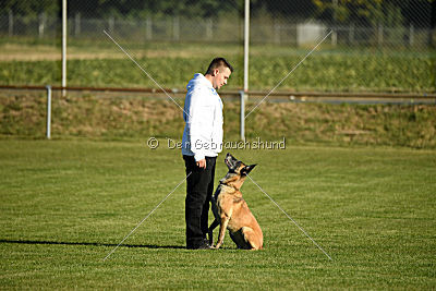 Kleo vom Herrenberger Schloss