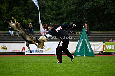 Kliff vom Floyd Haus