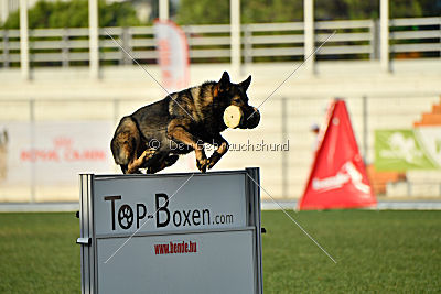 Kliff vom Floyd Haus