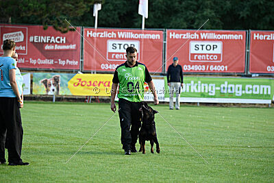 Kliff vom Kriegsdamm