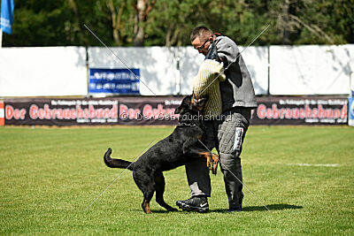 Kliff vom Kriegsdamm