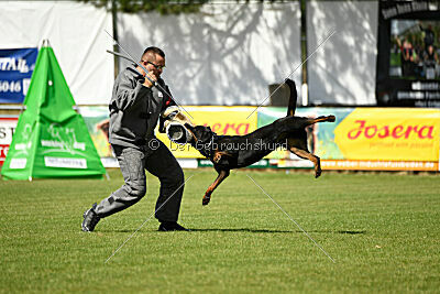 Kliff vom Kriegsdamm