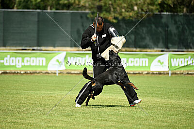 Kliff vom Kriegsdamm