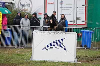 Kliff von der Friesenklippe