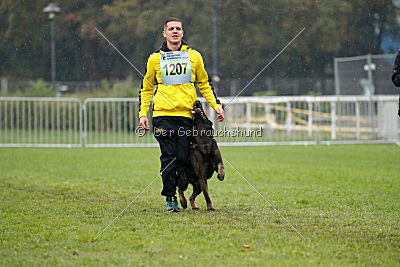 Kliff von der Friesenklippe