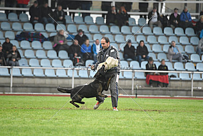 Kliff von der Friesenklippe