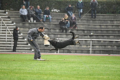 Kliff von der Friesenklippe