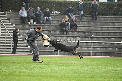 Kliff von der Friesenklippe