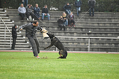 Kliff von der Friesenklippe