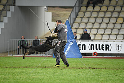 Kliff von der Friesenklippe