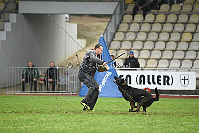 Kliff von der Friesenklippe