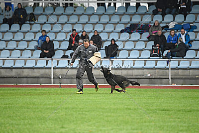 Kliff von der Friesenklippe